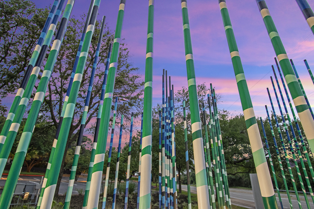 Austin Oaks — image 5