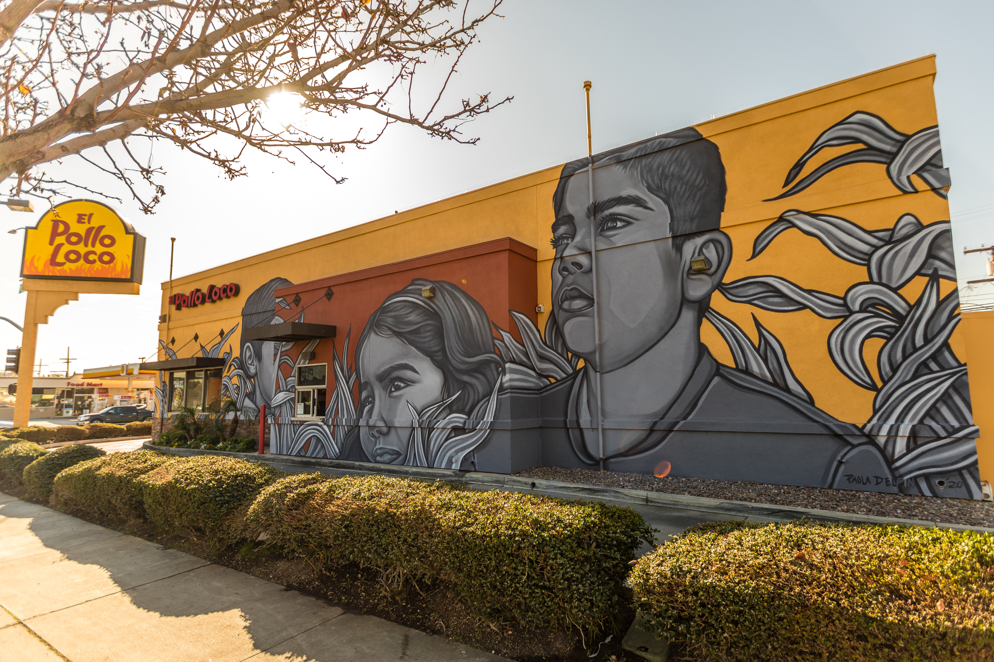 El Pollo Loco — image 6