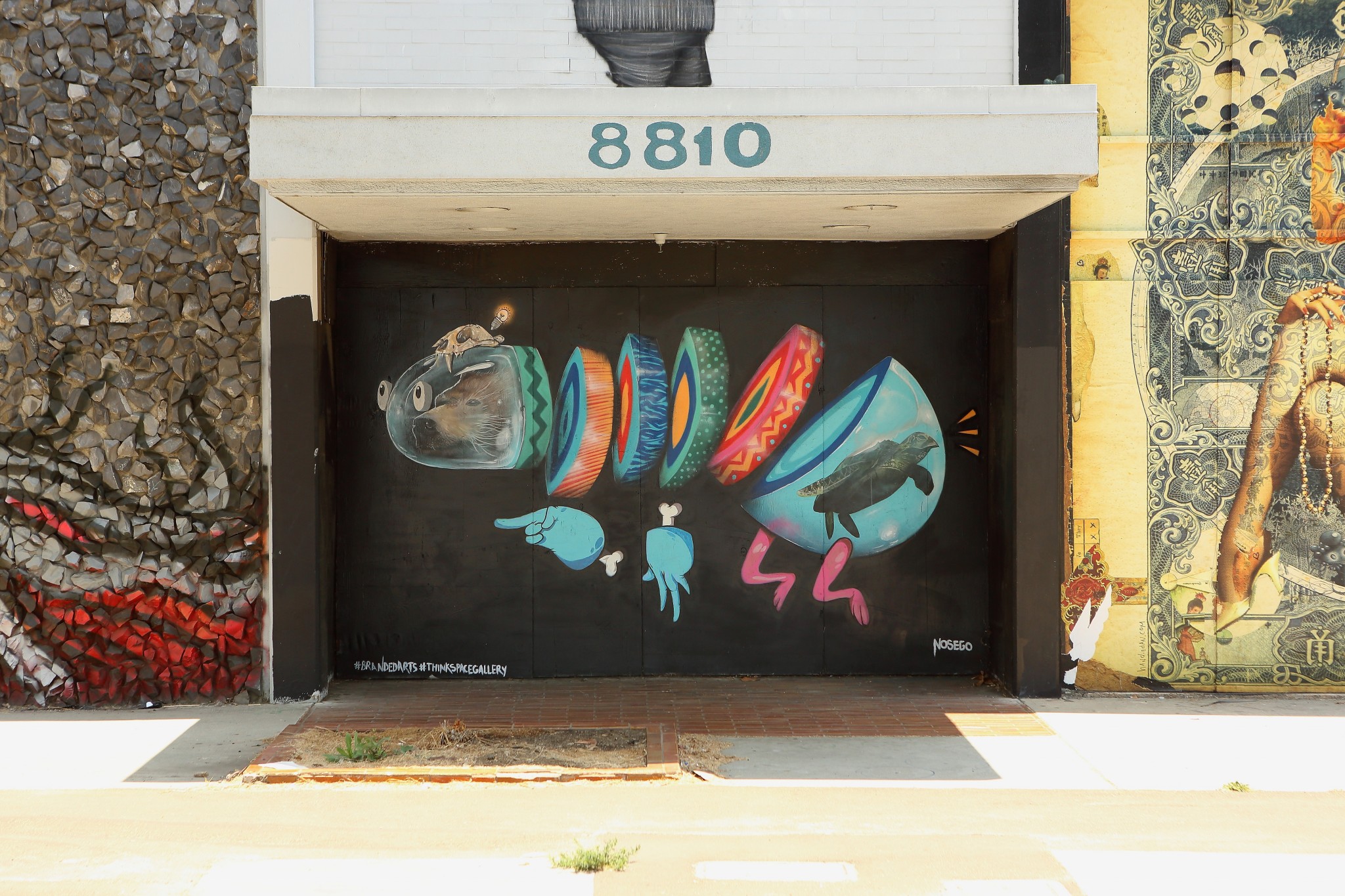 Nosego — work 5