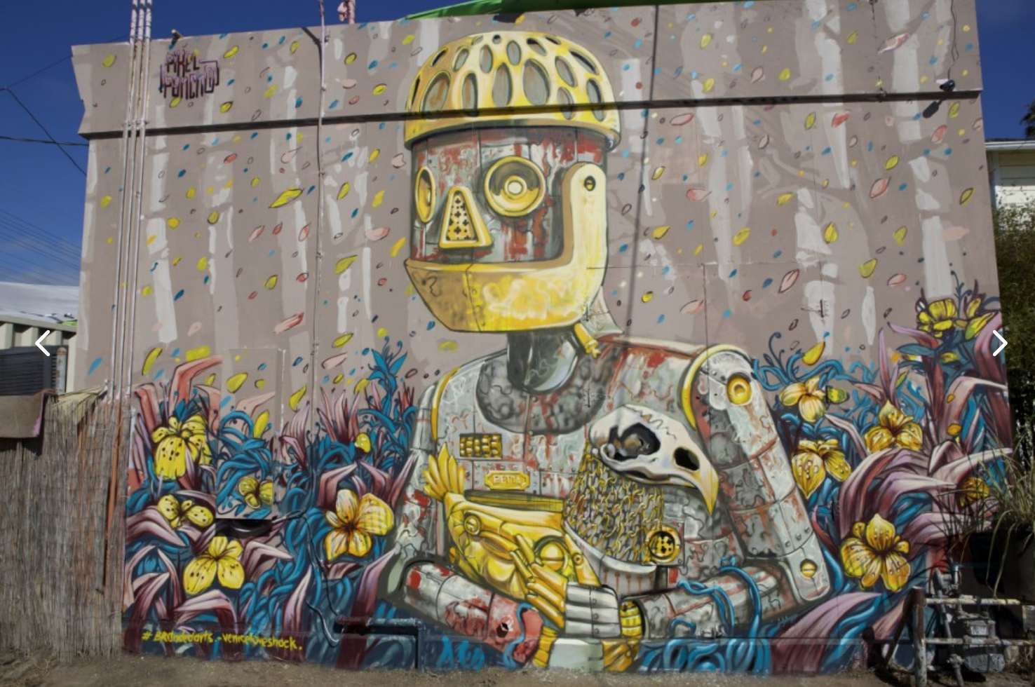 Pixel Pancho — work 4