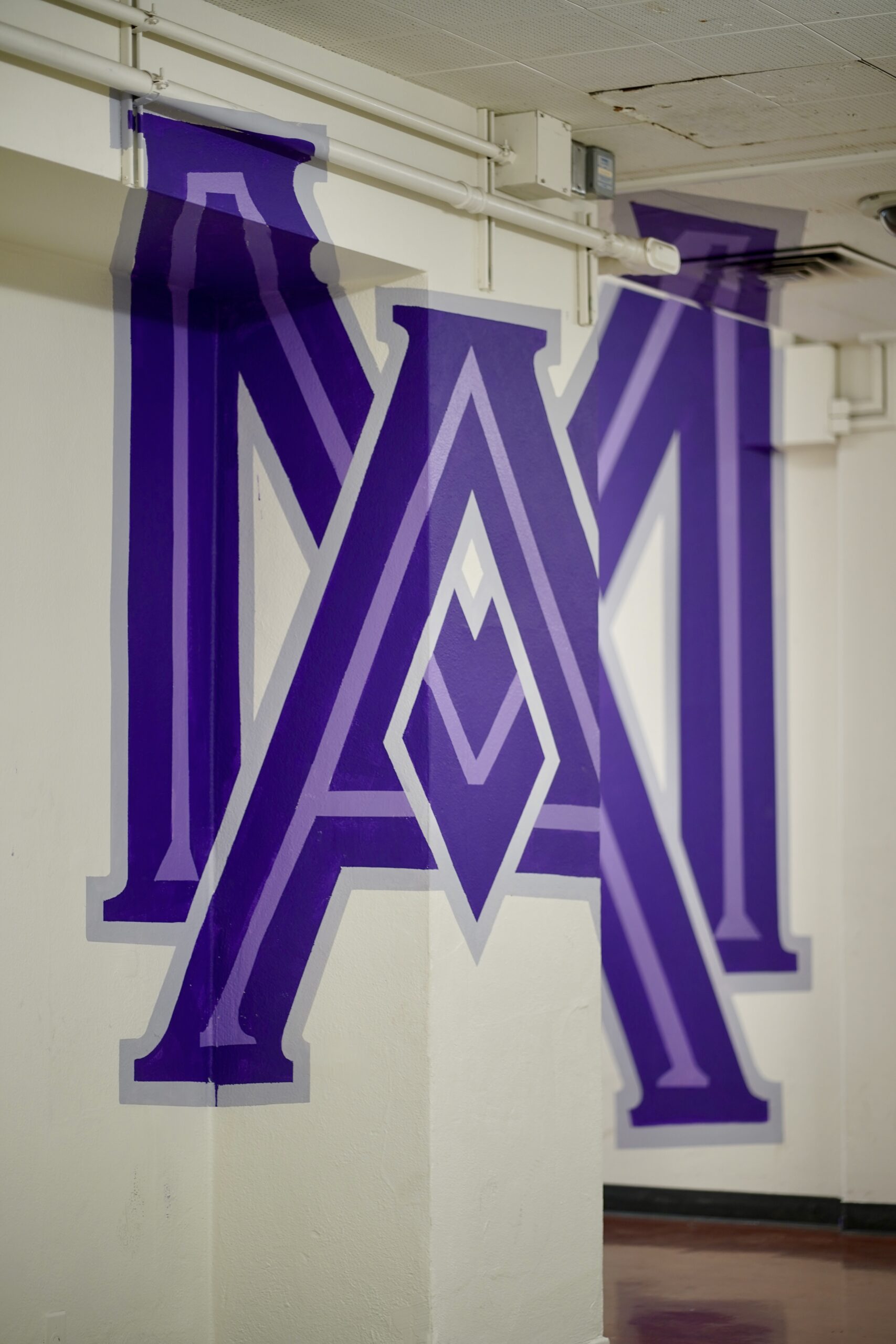 Branded Arts Festival — Manual Arts HS — image 12