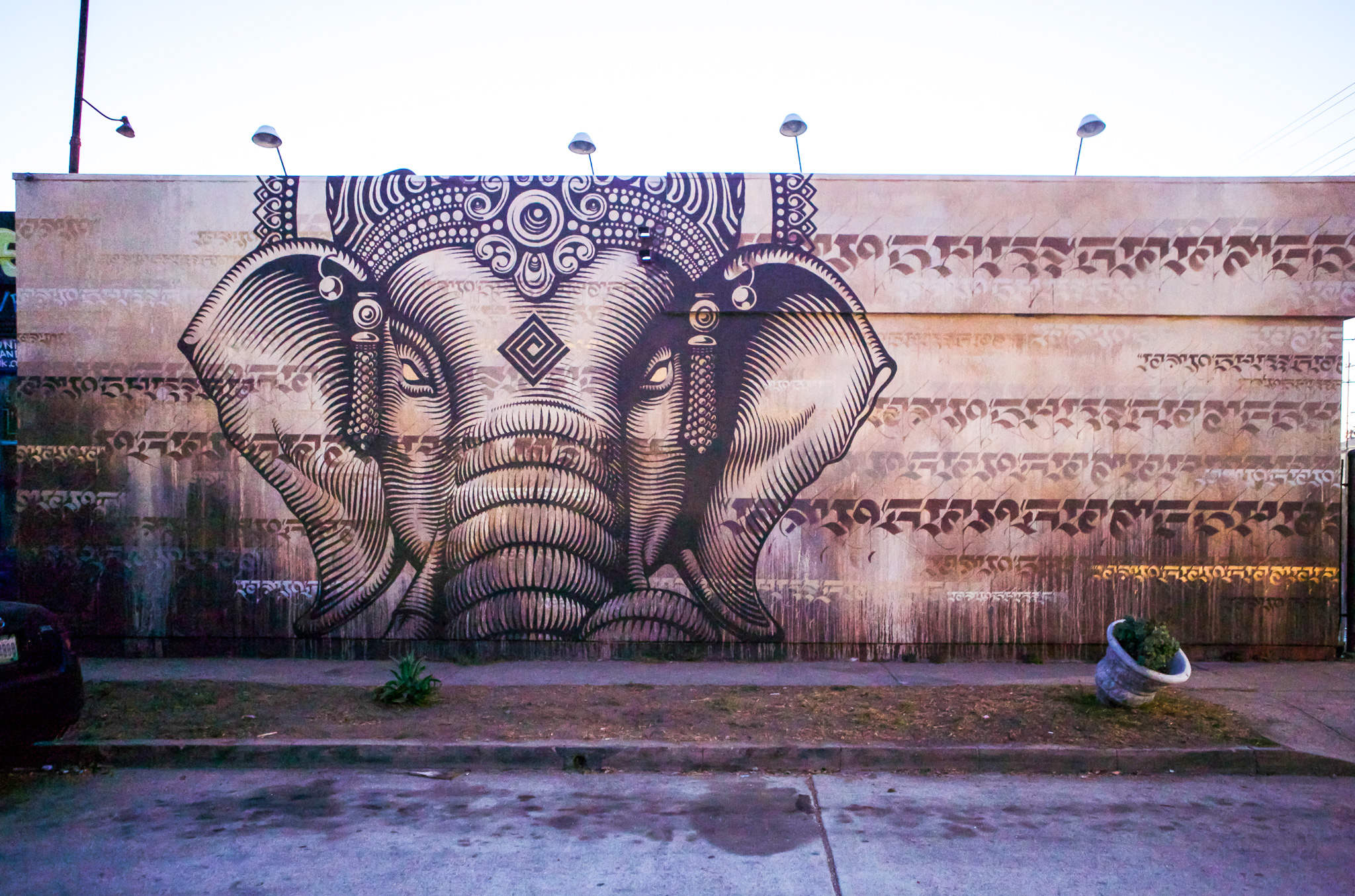 Cryptik — work 6