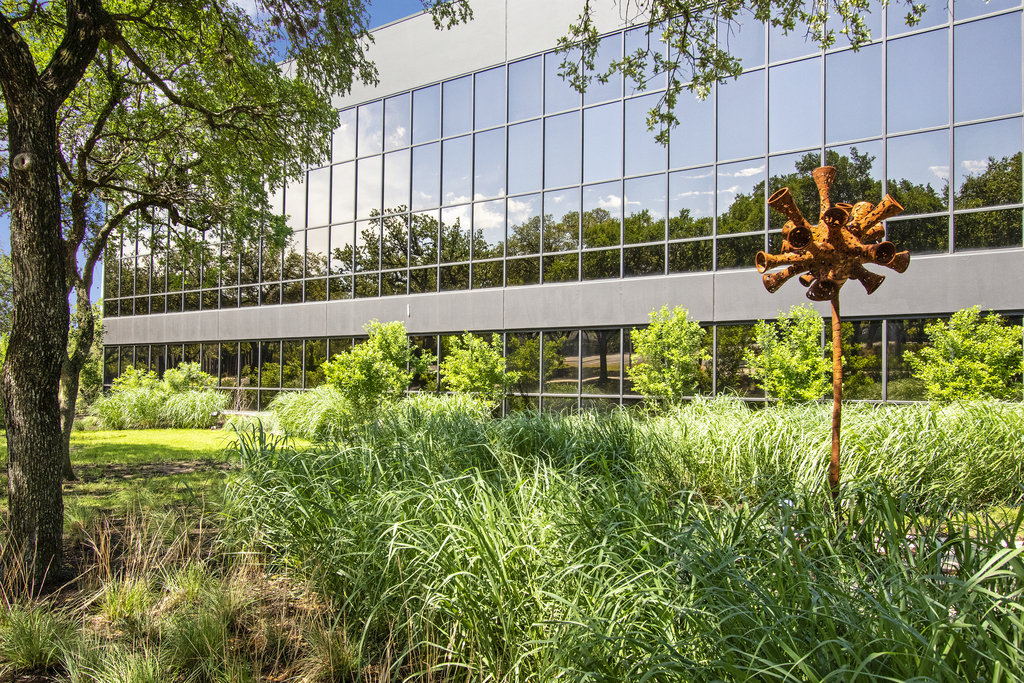 Austin Oaks — image 20